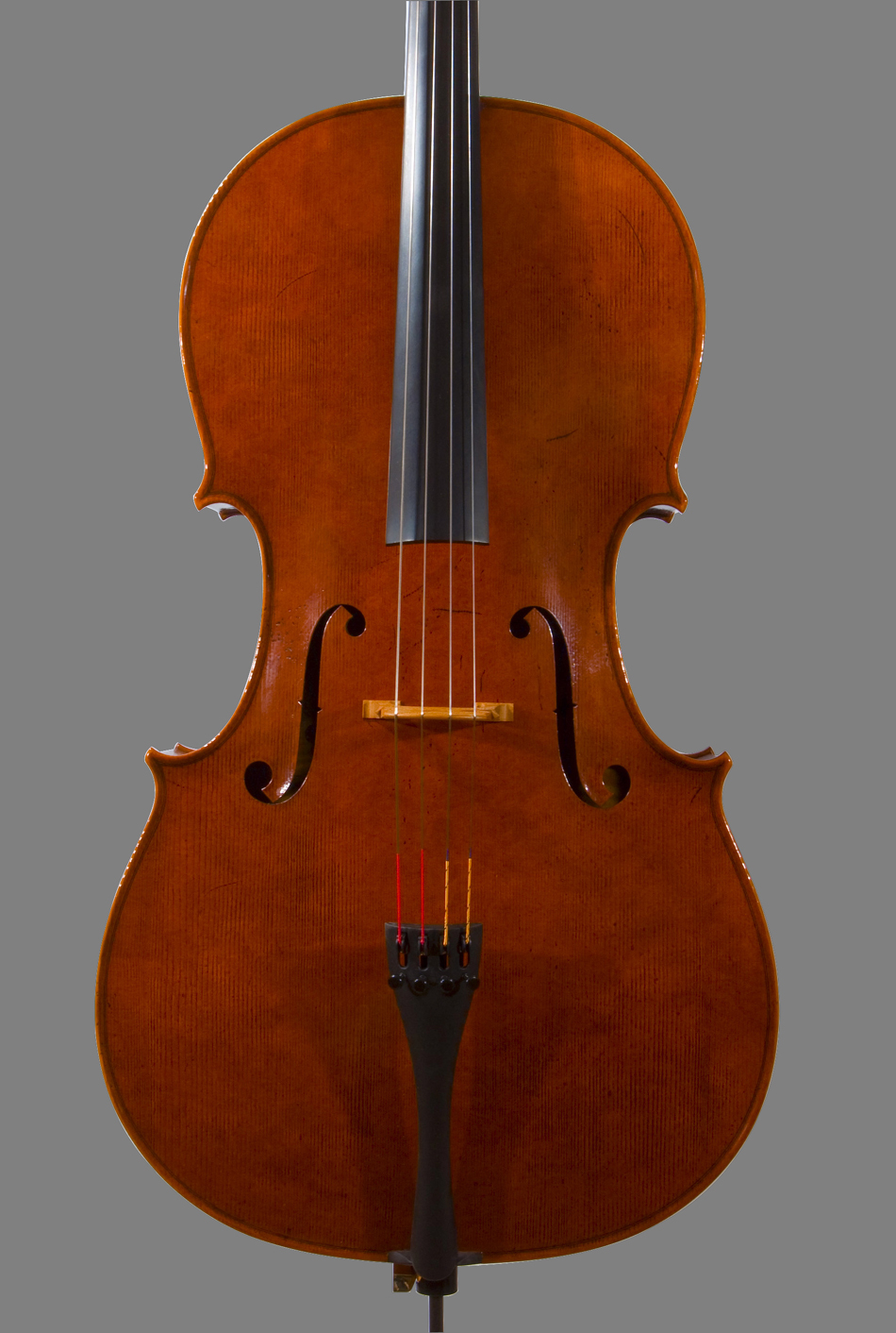 Cello Massimo Mura 2013